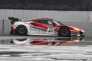 #23 Ferrari 488 GT3 of Onofrio Triarsi and Charlie Scardina, Triari Competizione, GT World Challenge America, Am, SRO America, Sonoma Raceway, Sonoma, CA, April  2022.
 | Brian Cleary/SRO