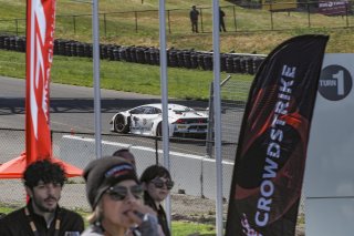 #9 Lamborghini Huracan GT3 of Ziad Grandeur and Michele Beretta, TR3 Racing, GT World Challenge America, Pro-Am, SRO America, Sonoma Raceway, Sonoma, CA, April  2022.
 | Brian Cleary/SRO