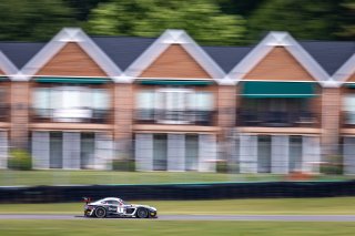 #6 Mercedes-AMG GT3 of Steven Aghakhani and Loris Spinelli, US Racetronics, GT World Challenge America, Pro, SRO America, VIR, Virginia International Rcaeway, Alton, Virginia, June 2022.
 | Regis Lefebure/SRO