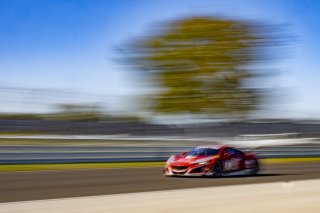 #93 Acura NSX GT3 of Ashton Harrison, Christina Nielsen and Mario Farnbacher, Racers Edge Motorsports, Pro-Am, Indy 8 Hours, Intercontinental GT Challenge, Indianapolis Motor Speedway, Indianapolis, Indiana, Oct 2022.
 | Brian Cleary/SRO