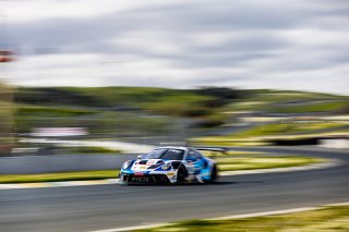 #16 Porsche 911 GT3-R (991.ii) of Pedro Torres and Spencer Pumpelly, ACI Motorsport, April 2023., CA, GT World Challenge America, Pro-Am, SRO America, Sonoma, Sonoma Raceway
 | Fabian Lagunas / SRO
