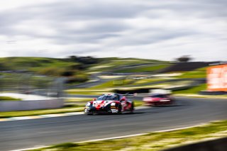 #53 Porsche GT3 992 of Trenton Estep and Seth Lucas, April 2023., CA, GT World Challenge America, MDK Motorsports, Pro, SRO America, Sonoma, Sonoma Raceway
 | Fabian Lagunas / SRO